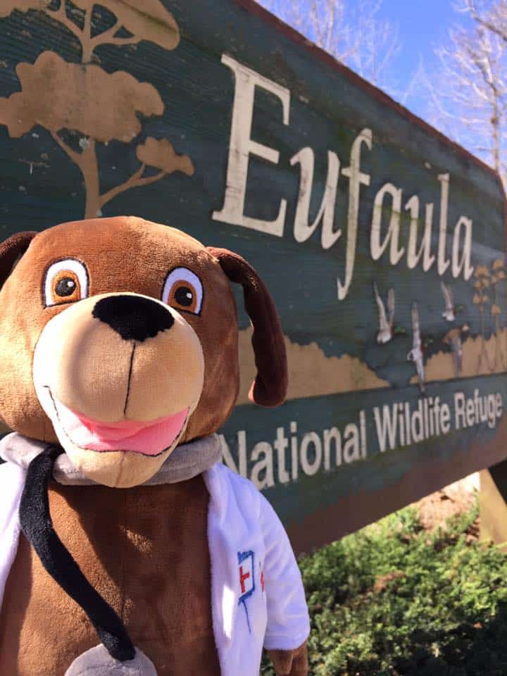 MainStreet Mascot cleans up the lake eufaula lake Friends of Lake Eufaula