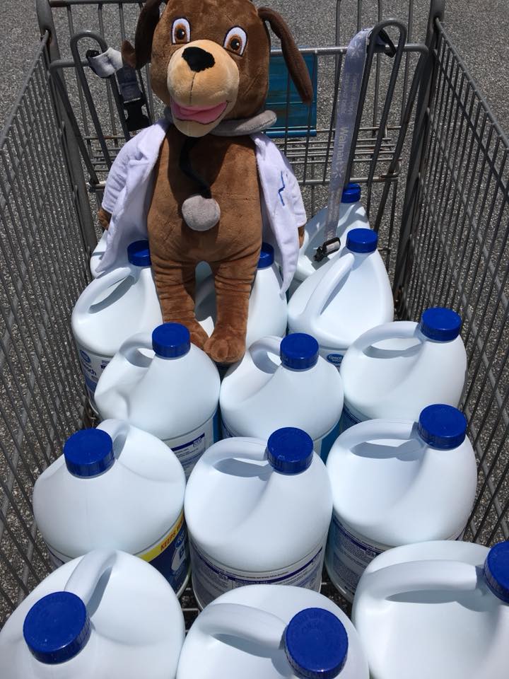 MainStreet Mascot gives bleach to dogs at Southern Souls Animal League