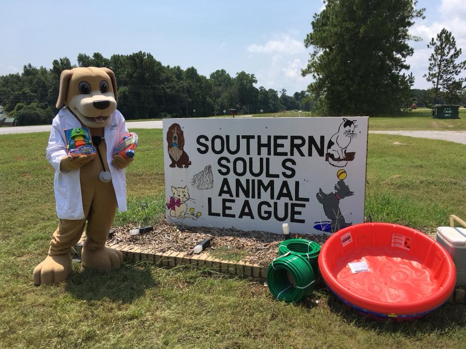 MainStreet Mascot gives pools treats and sprinklers to dogs at SSAL August