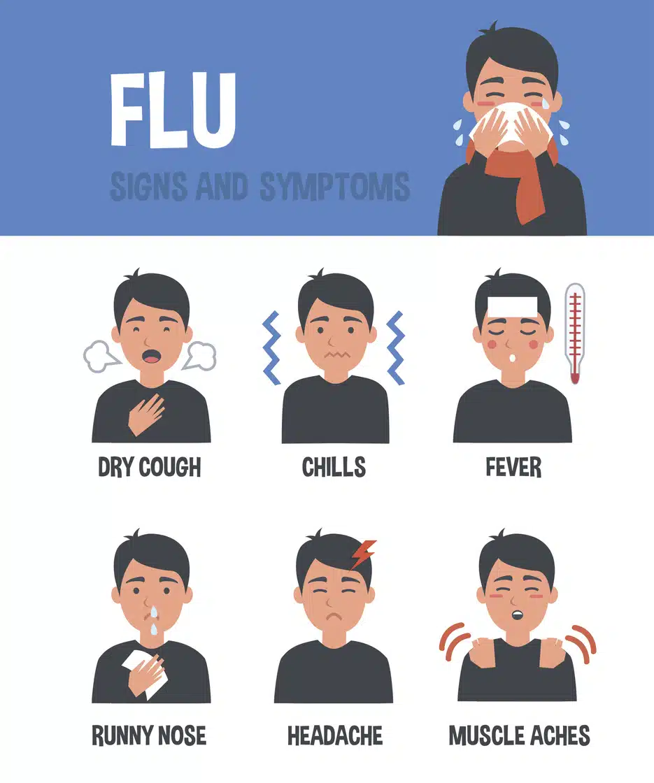 flu adult signs and symptoms