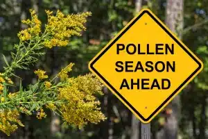 Everything You Need to Know: Seasonal Allergies
